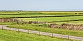 Zeedijk Marrum. Zicht vanaf de zeedijk richting wadden.