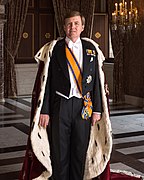 portrait photography of Willem-Alexander of the Netherlands wearing his royal robes