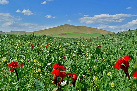 Tây_Azerbaijan_(tỉnh)