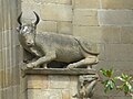 Taureau ou bœuf sur la façade sud.