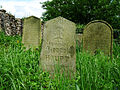 Čeština: Židovský hřbitov ve Stříteži, okres Jihlava. English: Jewish cemetery by the village of Střítež, Jihlava District, Vysočina Region, Czech Republic. This is a photo of a cultural monument of the Czech Republic, number: 37764/7-5233. Památkový katalog  · MIS  · hledat obrázky  · hledat seznamy  · Wikidata