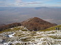 Врвот Василева Чука на северните падини на Беласица