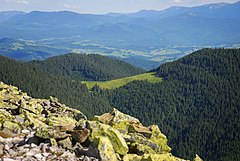 Горган. Горганы заповедник. Горганы Карпаты. Полонина Гича. Карпатский горный хребет.