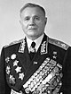 Marshal Sovetskogo Soyuza Geroy Sovetskogo Soyuza Andrey Ivanovich Eryomenko (kesilgan) .jpg