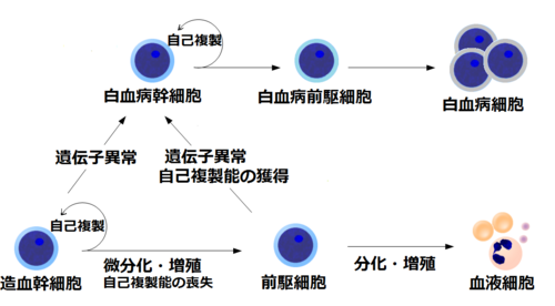 白血病 Wikipedia