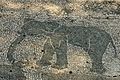 Mosaico romano de Ostia Antica, Italia.