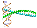 Miniatura para Factor de transcripción AP-1