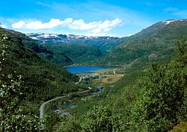 Aurdal