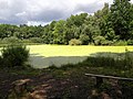 The whole Röhrsdorfer Grund is a landscape garden with a system of paths