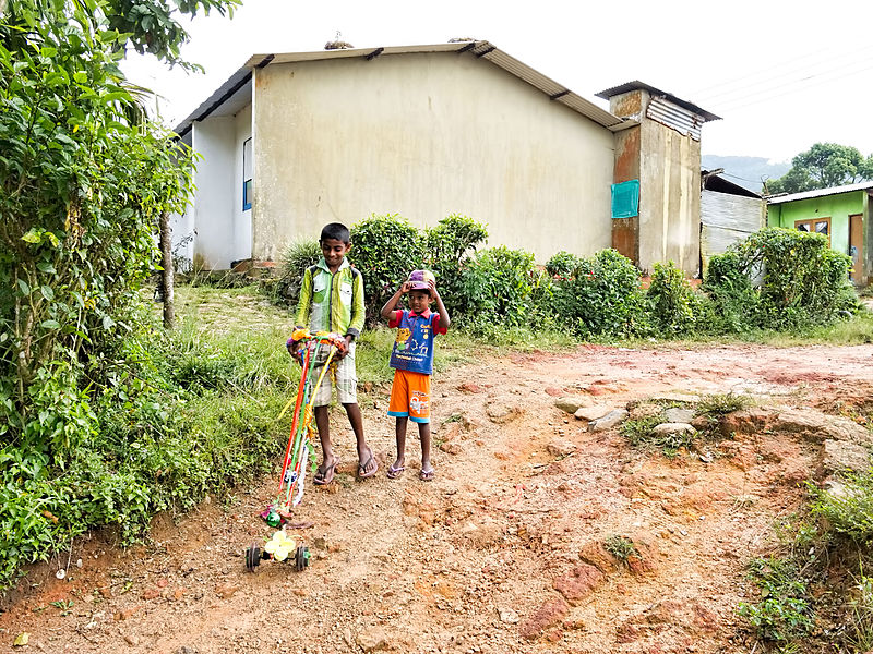 File:20160128 Sri Lanka 4127 Sinharaja Forest Reserve sRGB (25648600912).jpg