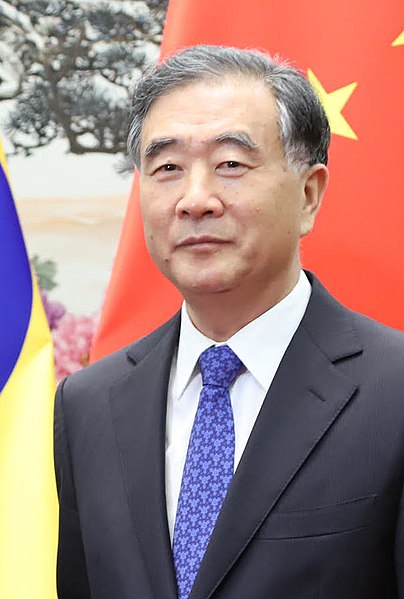 File:2019 Wang Yang.jpg