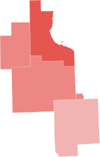 Primary results by county:
Junge
40-50%
50-60%
60-70% 2022 MI-08 GOP primary.svg