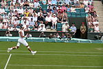 Miniatuur voor Wimbledon 2008 (mannen)