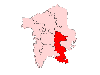 <span class="mw-page-title-main">Bajpatti Assembly constituency</span> Constituency of the Bihar legislative assembly in India