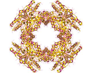 <span class="mw-page-title-main">NSP2 (rotavirus)</span>