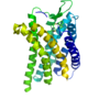 Miniatuur voor CXCR4