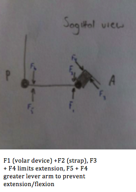 File:3 force diagram sagittal.tiff