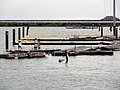 419 What's left of docks (14935810209).jpg