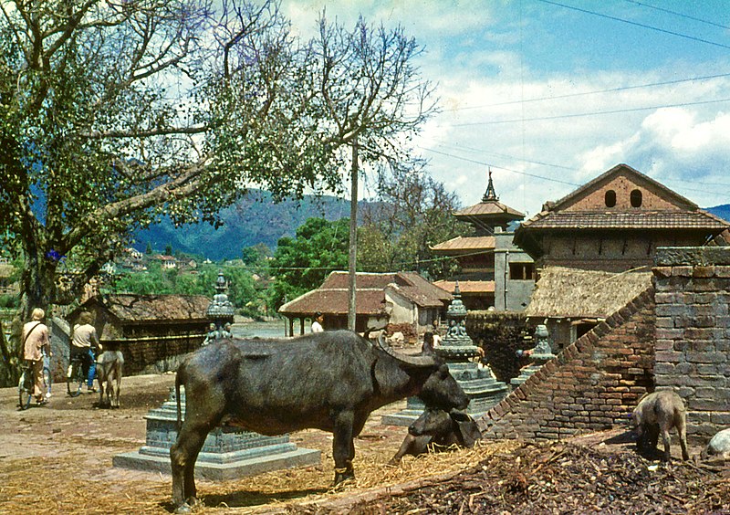 File:432a Kathmandu, Nepal 1971 (51295218512).jpg