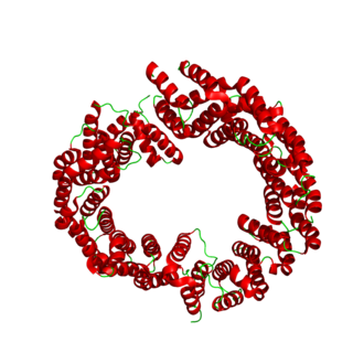 <span class="mw-page-title-main">Transportin-3</span> Protein-coding gene in the species Homo sapiens