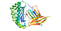 Alpha-Fetoprotein