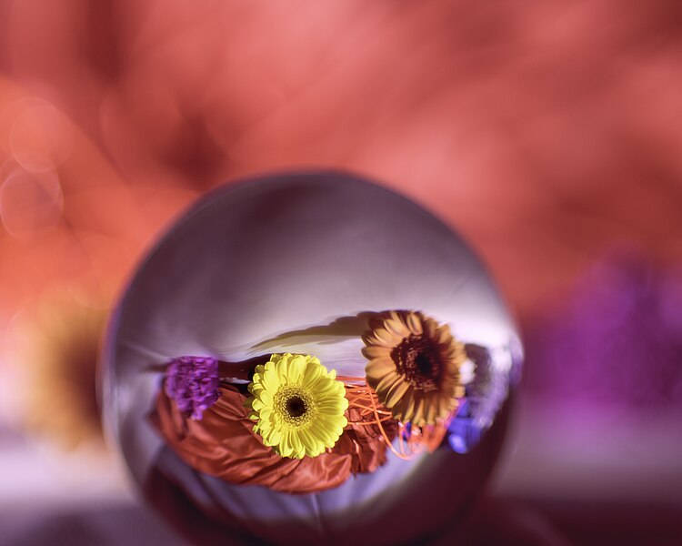 File:A Ball Of Flowers (33322440376).jpg