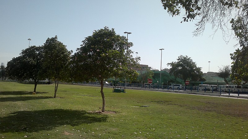 File:Abudhabi near Bus stand 2013 pic 43 - panoramio.jpg