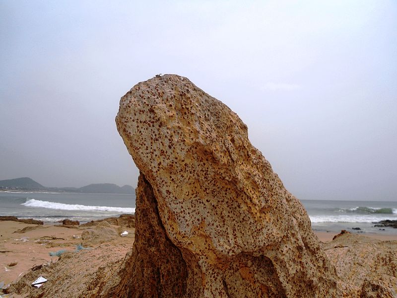 File:Air and water eroded Khondalite rock at Tenneti park.JPG