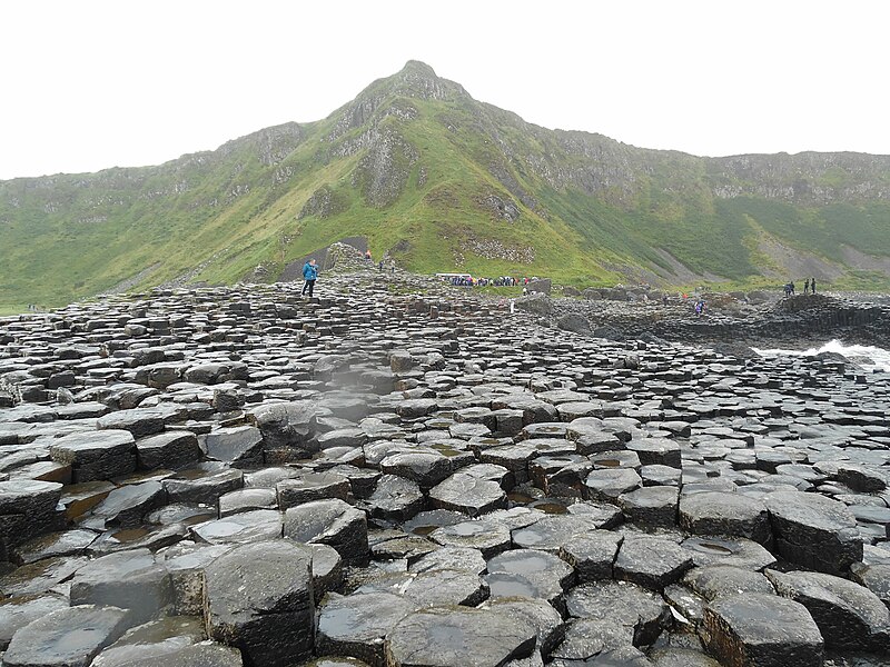 File:Aird Snout and the Giant's Causeway - geograph.org.uk - 5243720.jpg
