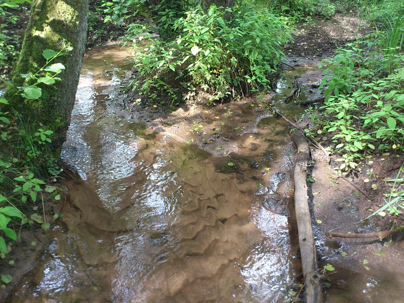 File:Altenbach Zusammenfluss.JPG