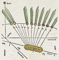 Astronomicum Caesareum (1540)'s portrayal of Halley's Comet