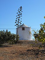 Ataboeira Windmill, Guia, Albufeira, 2015 yil 8-sentyabr (5) .JPG