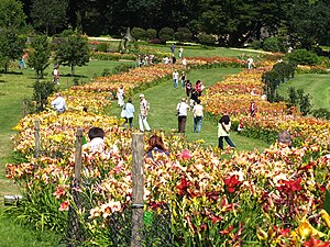 Arboretum: Obszar, na którym uprawia się różne gatunki drzew i krzewów dla celów naukowych