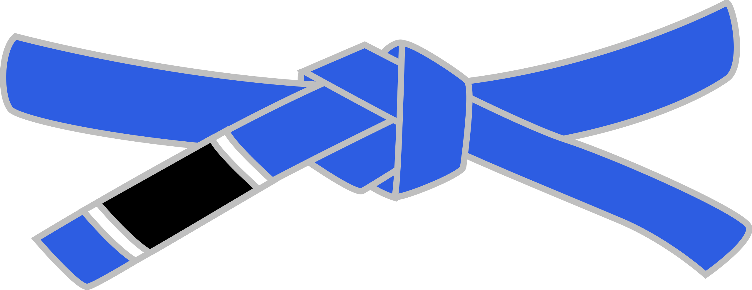 https://upload.wikimedia.org/wikipedia/commons/thumb/7/72/BJJ_Blue_Belt.svg/2560px-BJJ_Blue_Belt.svg.png