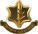 Badge of the Israel Defense Forces.new.svg