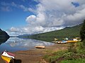 Pujuhuapi fjordo pakrantė