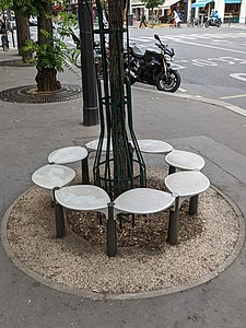Bancs Champignon autour d'un arbre sur l'avenue Parmentier, en juillet 2021.