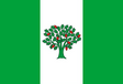 A Cañiza zászlaja