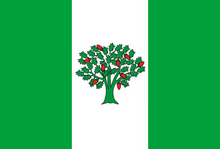 Bandeira de Cañiza (Provinza de Pontevedra).png