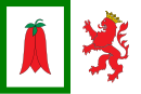 Bandiera della città di Arauco e comune del Cile