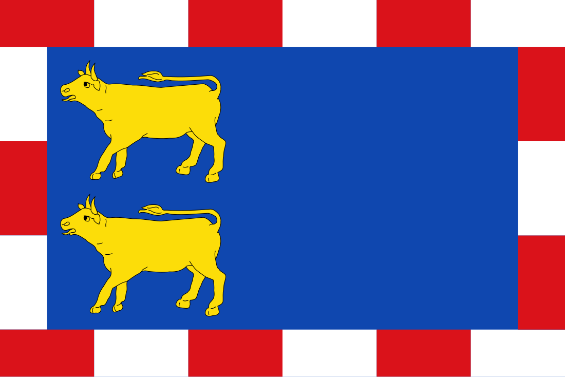 File:Bandera de Novillas.svg