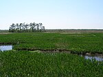 Jean Lafitte National Historical Park and Preserve