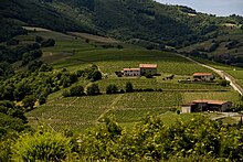 Beaujolais Wine country.jpg