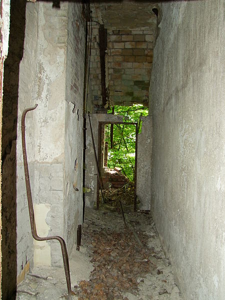 File:Beelitz Heilstätten -jha- 846312569891.jpeg