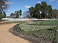 Beds before Floriade 2006