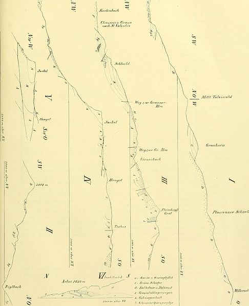 File:Beiträge zur Paläontologie und Geologie Österreich-Ungarns und des Orients - Mitteilungen des Geologischen und Paläontologischen Institutes der Universität Wien (1908) (20363782465).jpg