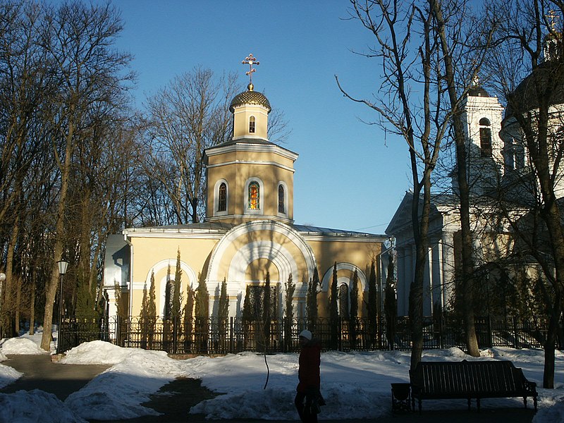 File:Belarus-Homel-Palace of Pashkevichs-8.jpg