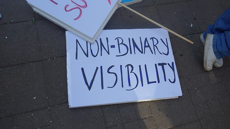 File:Belgrade Pride 2019 - Non-binary visibility.jpg
