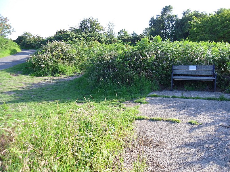 File:Bench on what was once Walberswick station (geograph 2500974).jpg