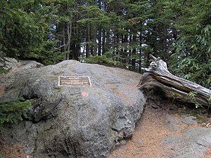 Bukid Sa Tinipong Bansa, North Carolina Big Tom